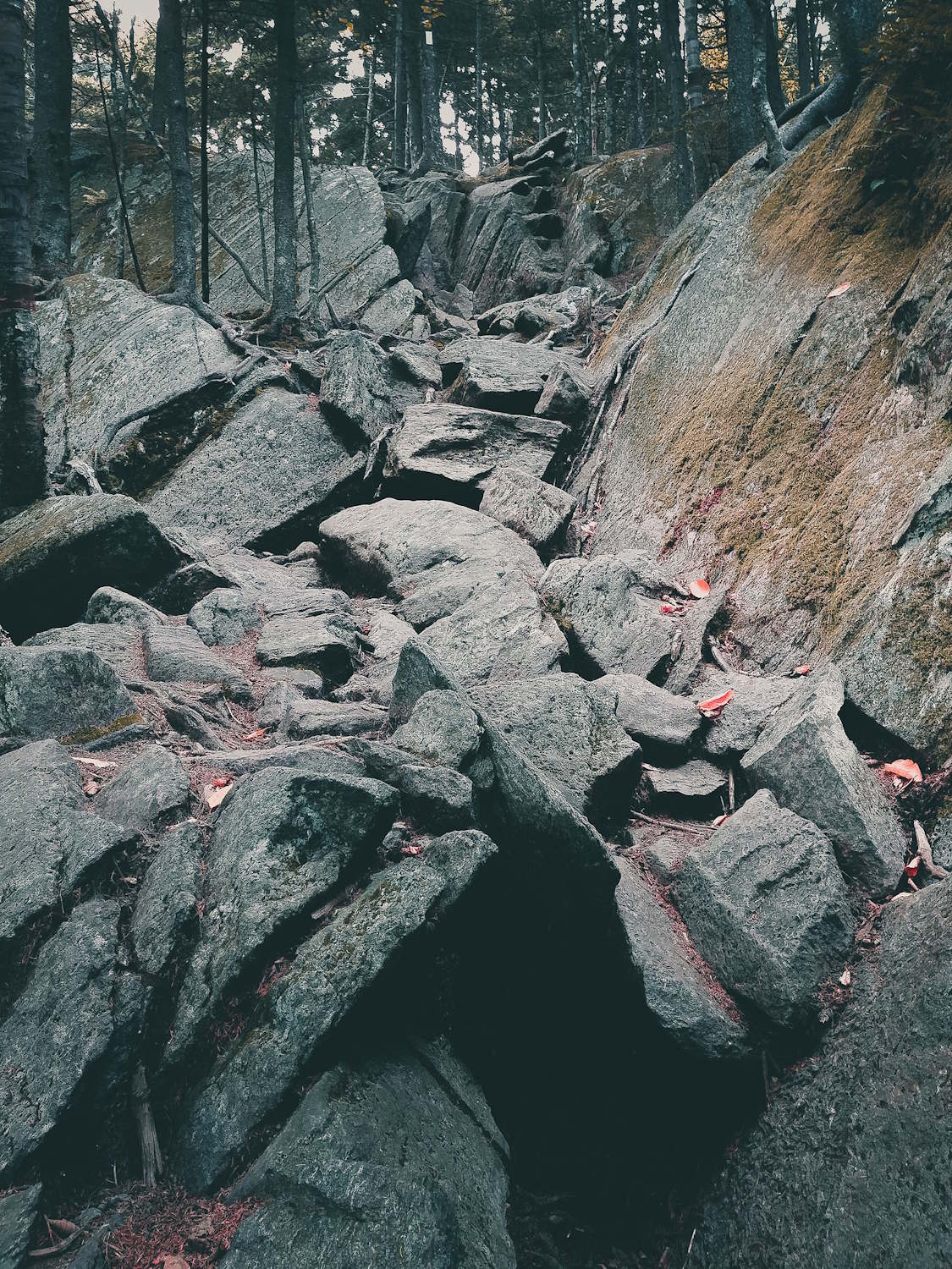 Mount Monadnock