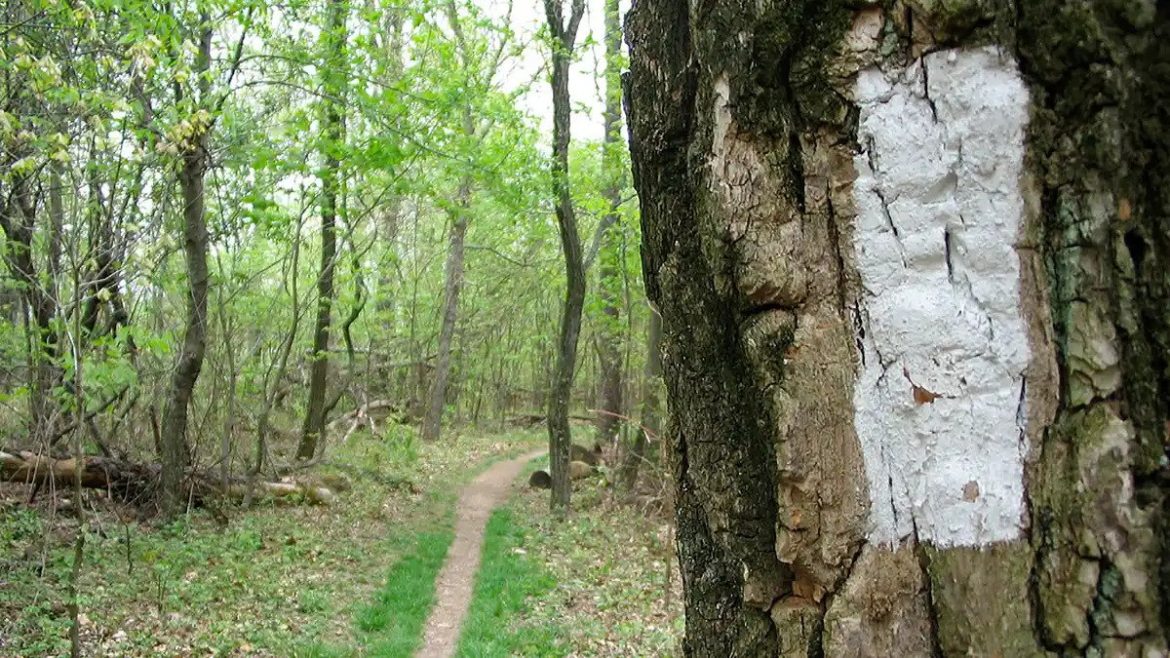 Appalachian Trail: 11 faits intéresants
