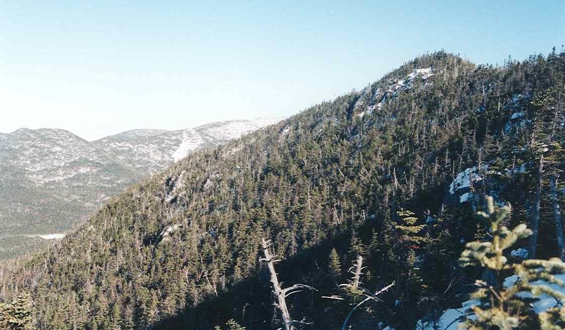 Allen Mountain