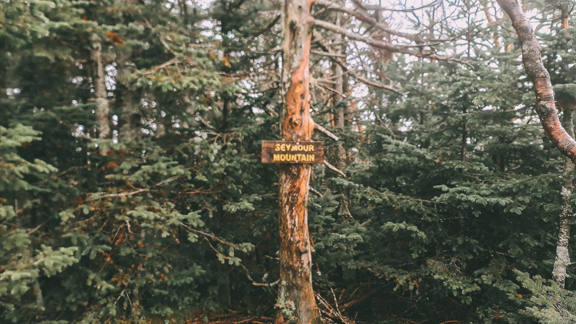 Seymour Mountain