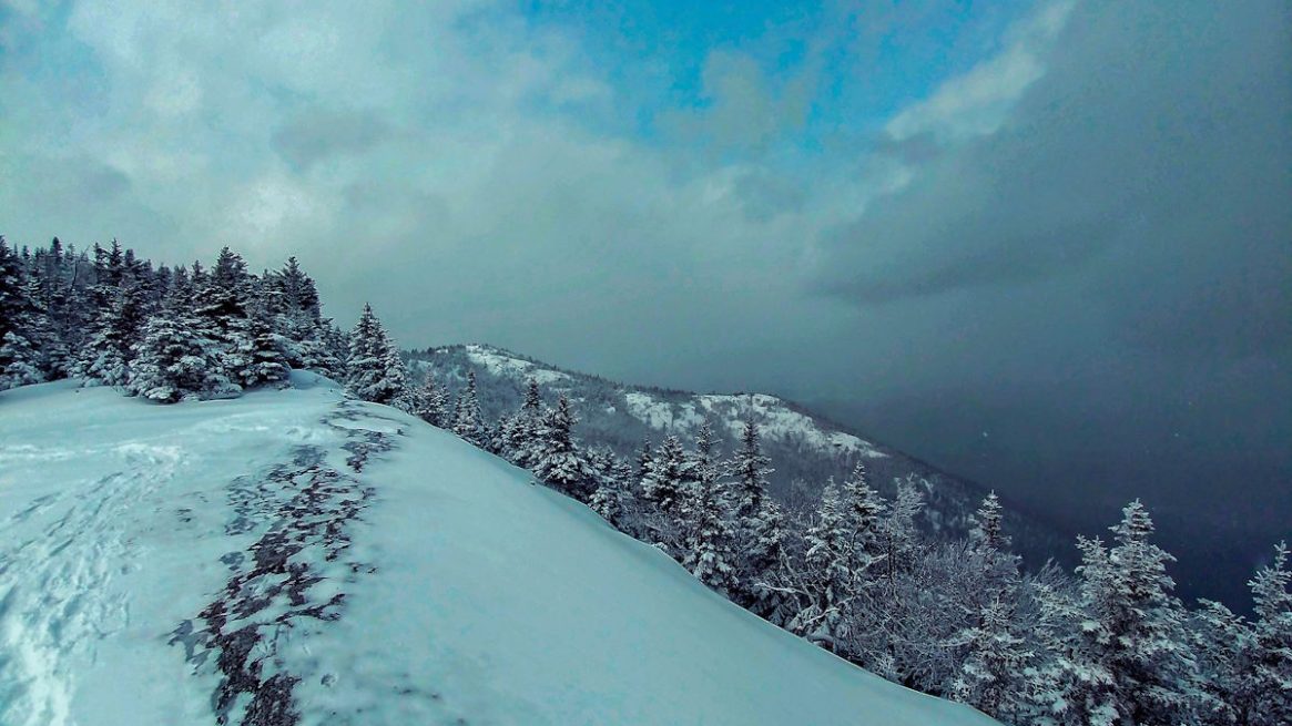 Jay Mountain, 2019
