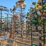 Elmer’s Bottle Tree Ranch