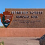 Petrified Forest National Park