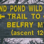 Belfry Mountain 2020