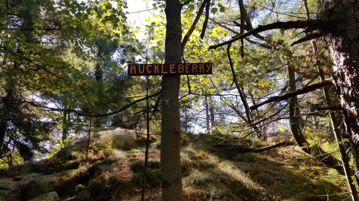 Huckleberry Mountain