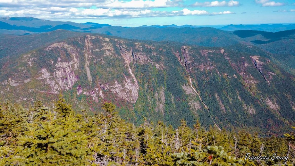 Mount Avalon Field Willey Tom 2018