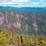 Mount Avalon Field Willey Tom 2018