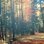 Sommets de Lanaudières