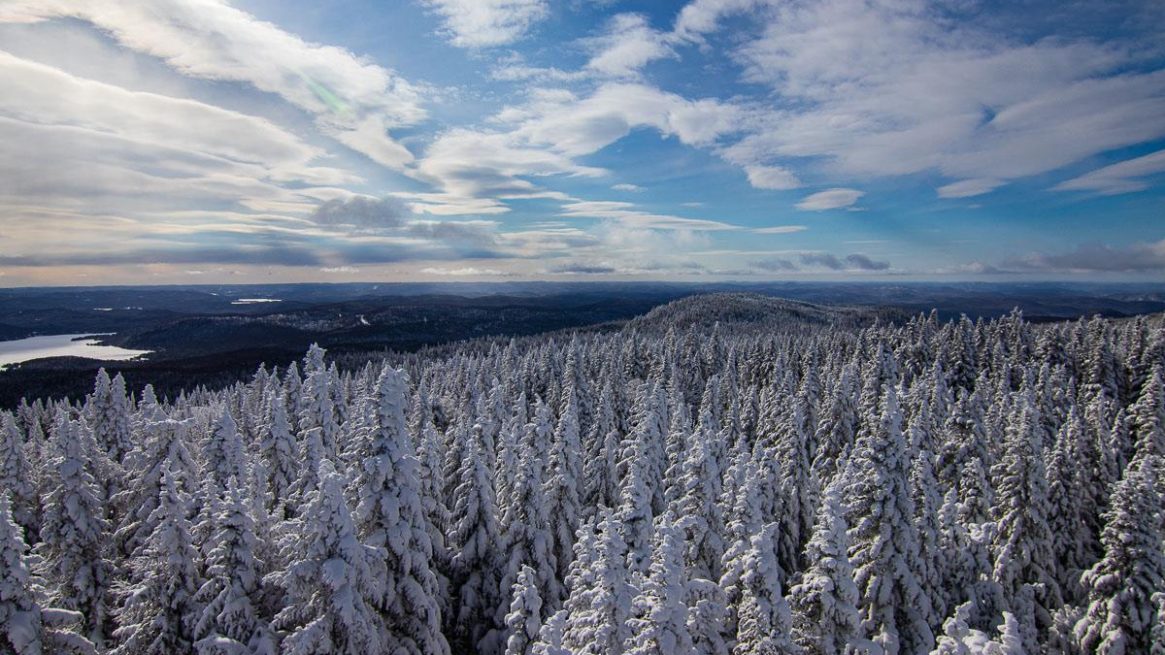 Montagne Noire