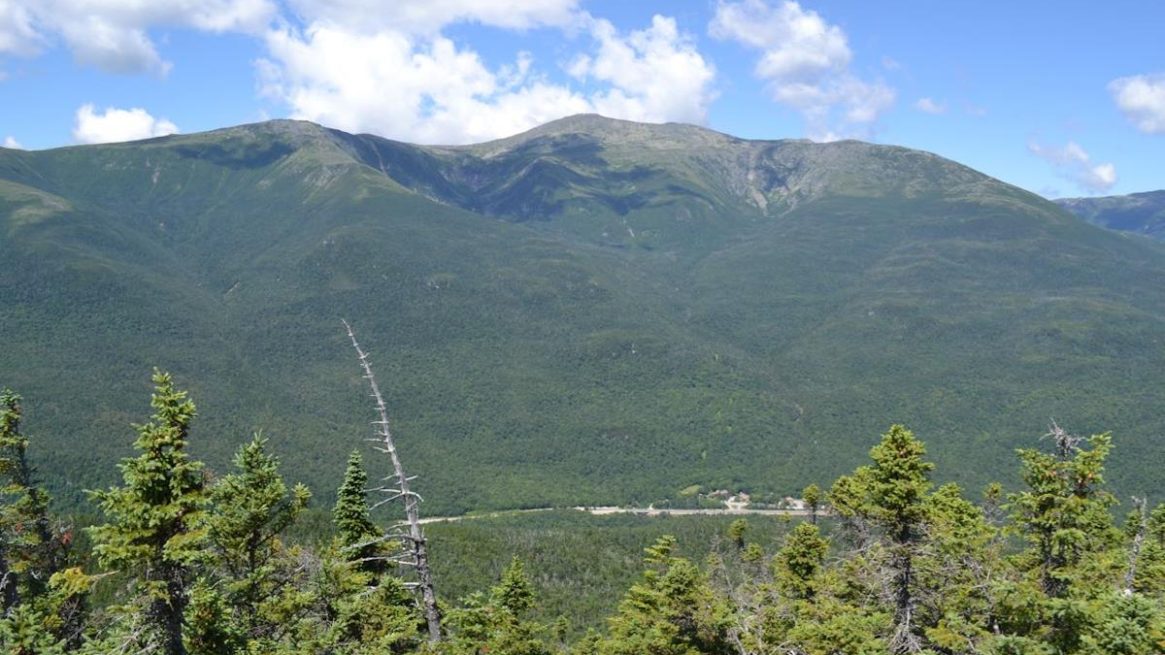 Wildcat Mountain