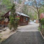 AT 2024 – Jour 22 – Au revoir les Smokies