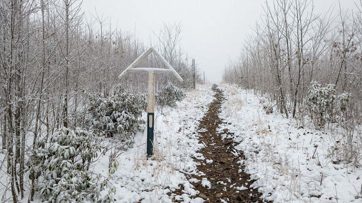 AT 2024 – Jour 24 – Le froid mordant et Max Patch
