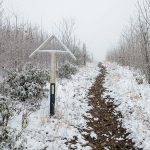 AT 2024 – Jour 24 – Le froid mordant et Max Patch