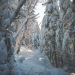 Mount Cabot 2018