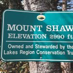 Shaw, Black Snout, Big Ball & Tate 2019