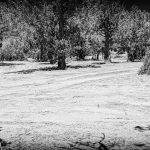 Jour 10 – Chaleur extrême en camping