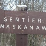 Sentier Maskana & Onikam 2017
