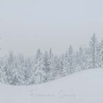 Mont Prud&rsquo;Homme