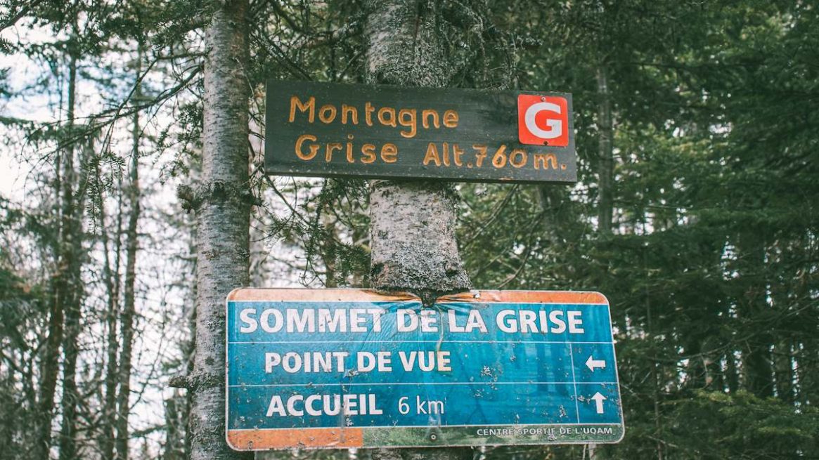 Montagne Grise, 2021