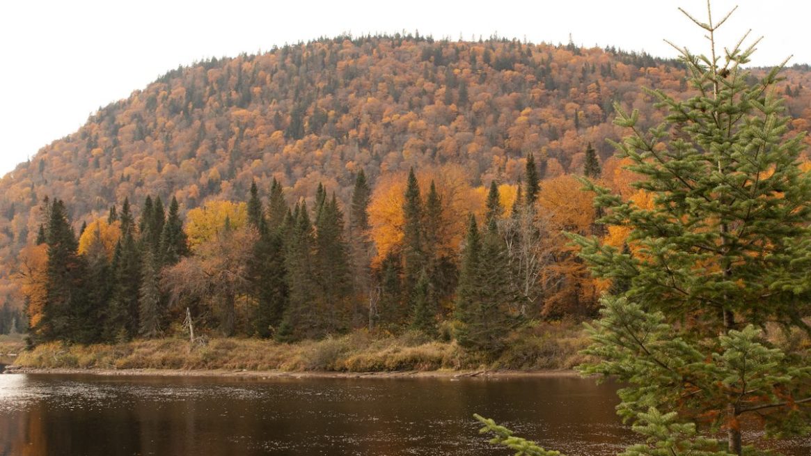 Sentier de l&rsquo;Éperon, 2021