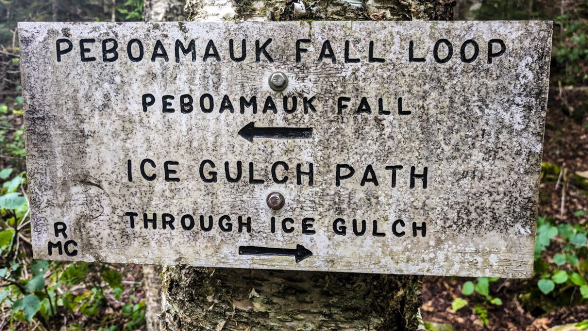 Ice Gulch Trail, 2025
