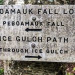 Ice Gulch Trail, 2025