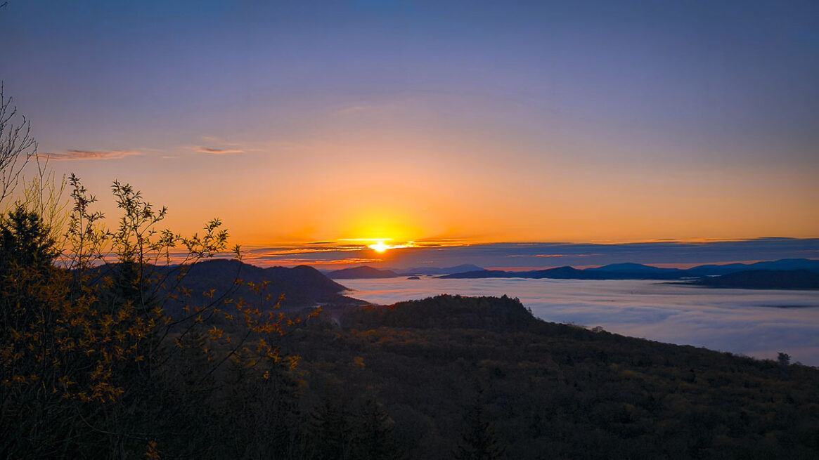 Bald Fire Tower, 2026