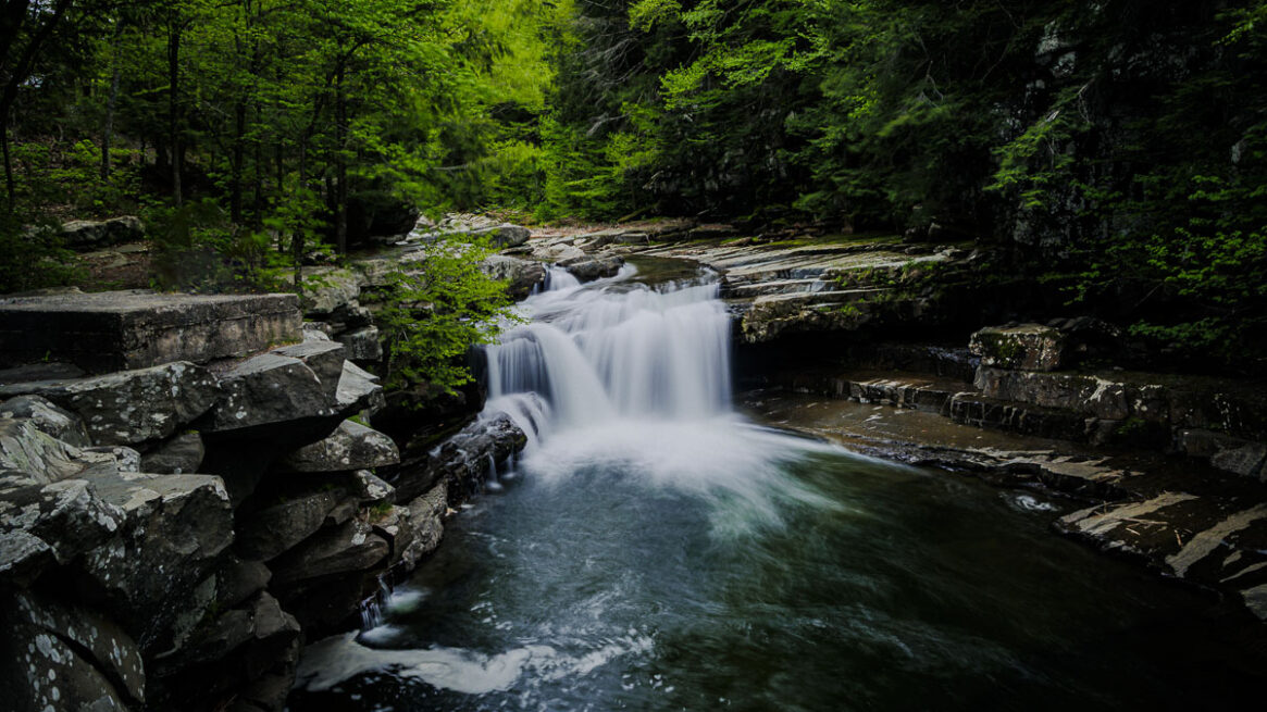 Bartlett Falls, 2026