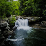 Bartlett Falls, 2026