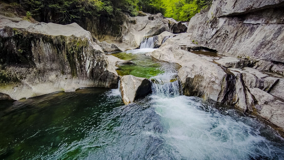 Warren Falls, 2026