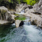 Warren Falls, 2026