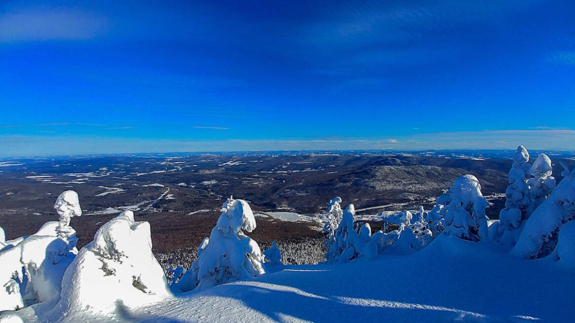 Belvidere Mountain, 2018