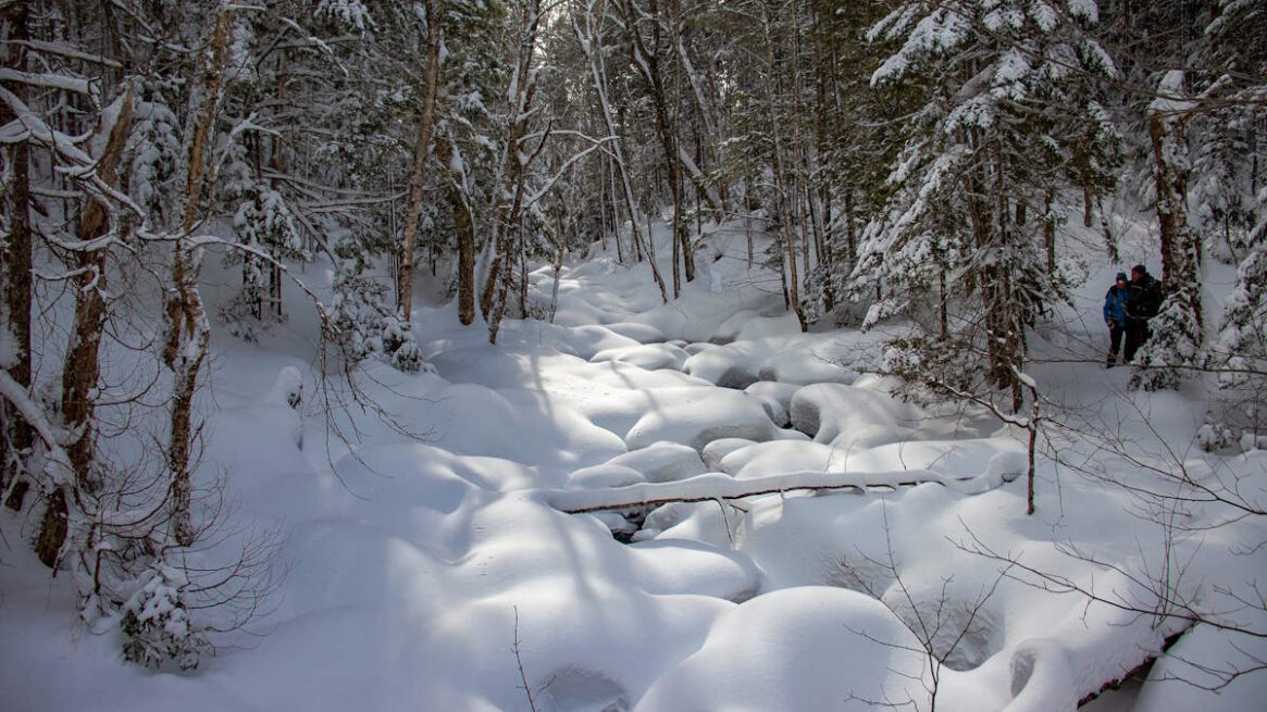 Sentier des Deux-Criques, 2020