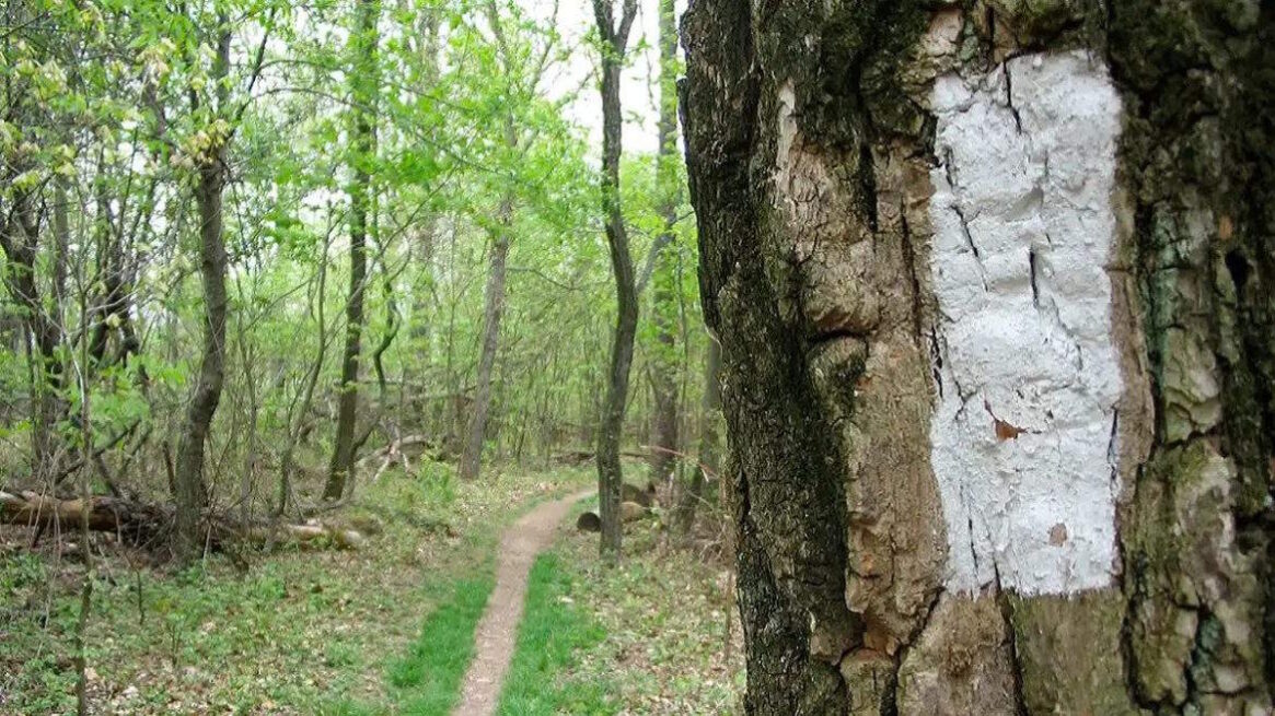 11 Faits intéressants sur l&rsquo;Appalachian Trail