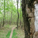 11 Faits intéressants sur l’Appalachian Trail
