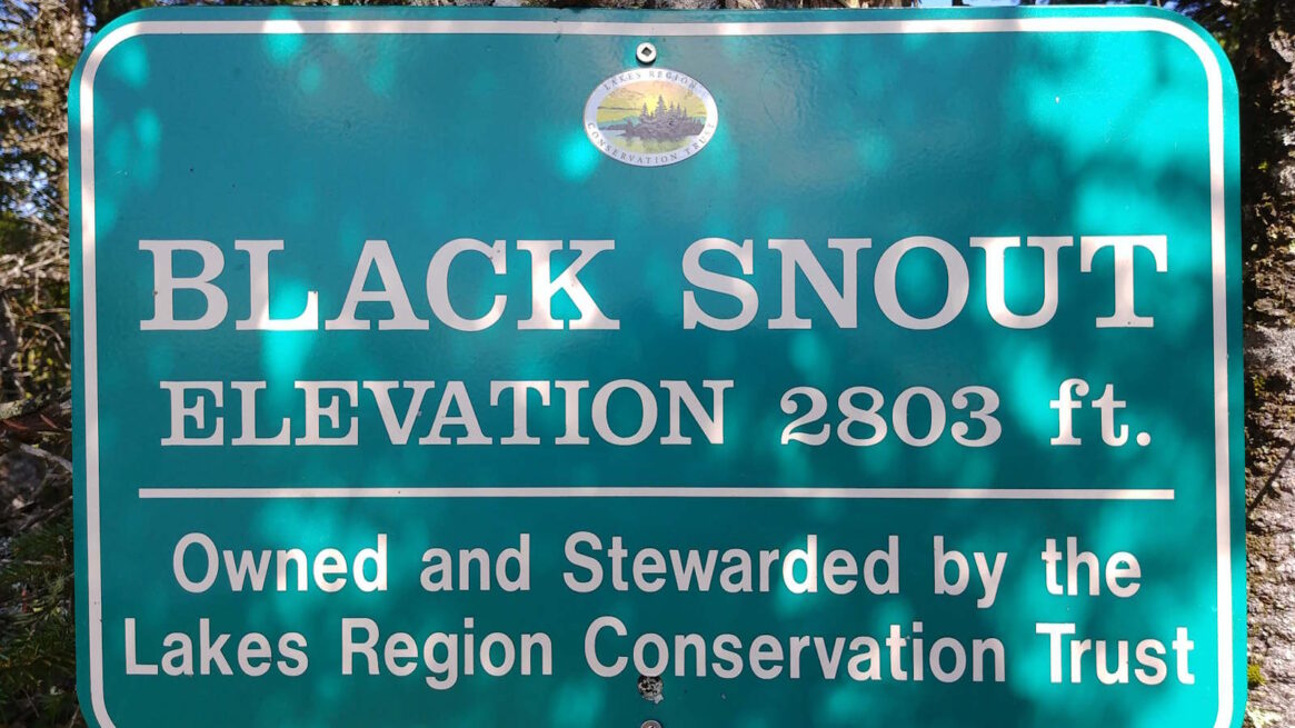 Black Snout